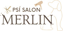 salon merlin
