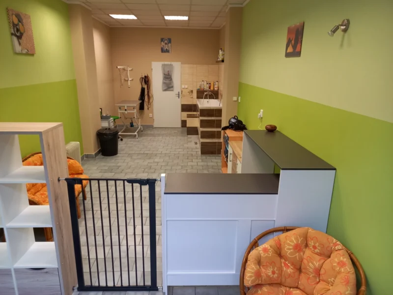 home - Psí salon Merlin