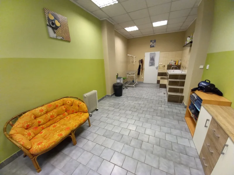 home - Psí salon Merlin