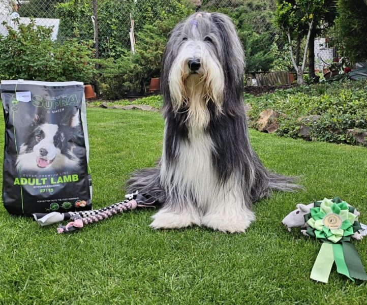 Fotogalerie Soňa - Psí salon Merlin