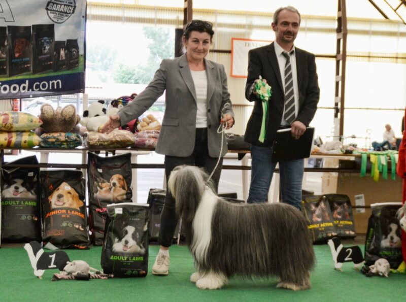 Fotogalerie Soňa - Psí salon Merlin