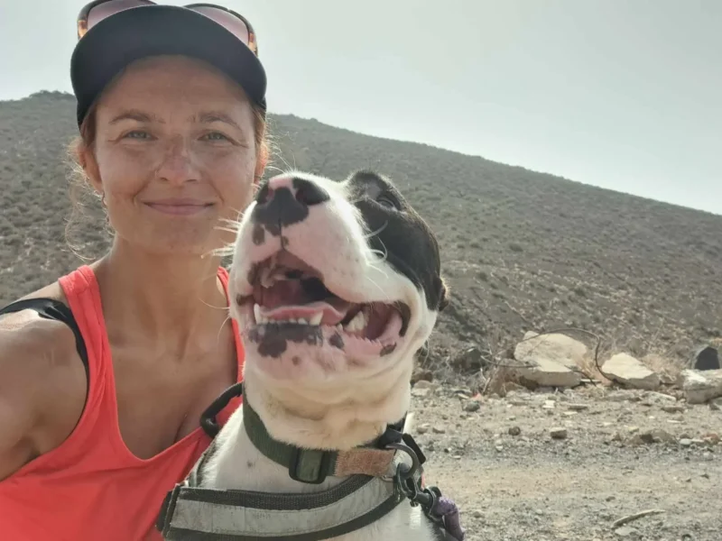 Hlídání psů - Psí salon Merlin