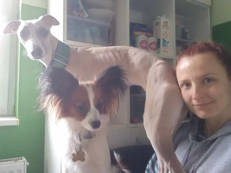 Hlídání psů - Psí salon Merlin