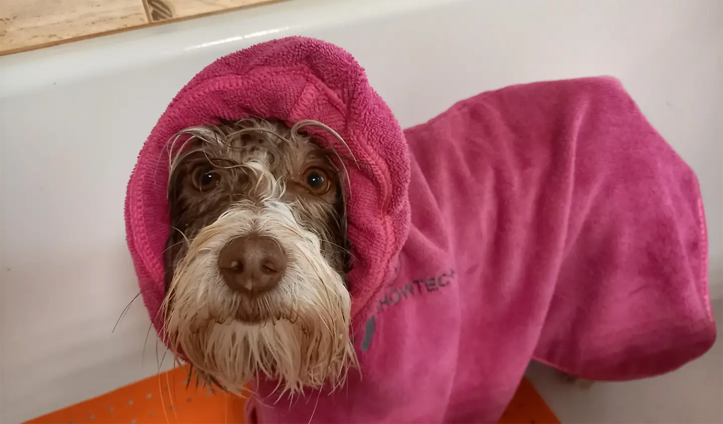 Bahenní zábaly - Psí salon Merlin