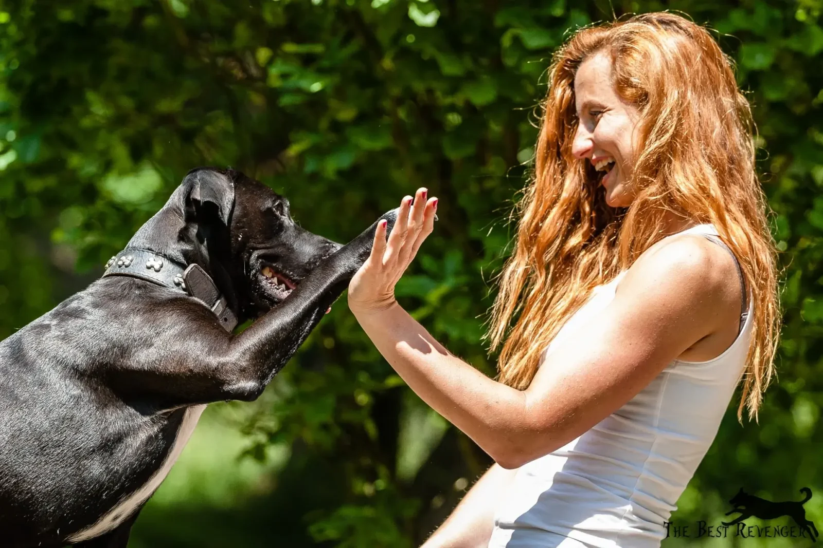 o nás - Psí salon Merlin