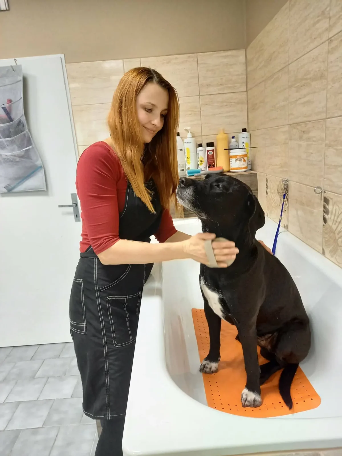 Stříhání psů - Psí salon Merlin